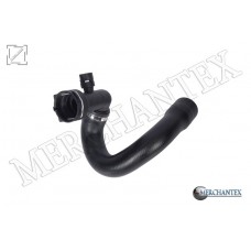 (1336652 GM 13441116) RADIATOR LOWER HOSE USED TO AUTOMATIC GEARS. OPEL VAUXHALL