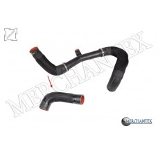 (1389890080 1379412080) TURBO HOSE EXCLUDING PLASTIC PIPE SMALL HOSE SHOWN WITH ARROW FIAT