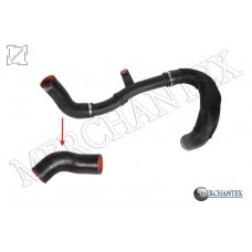 (1394053080) TURBO HOSE EXCLUDING PLASTIC PIPE SMALL HOSE SHOWN WITH ARROW FIAT