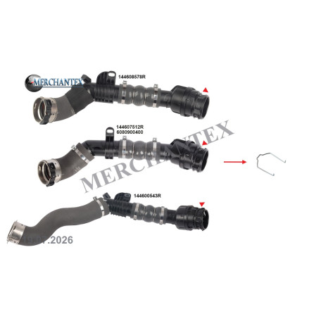 (144607512R 144608578R 144600543R 144604837R 144608386R 6080900400) DACIA MERCEDES BENZ RENAULT TURBO PIPE CLIPS