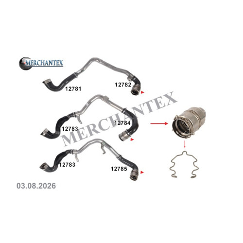 (144646921R 0155100Q1A 0155200Q4K 4502746 GM 95519387 1687123580) NISSAN OPEL RENAULT VAUXHALL TURBO PIPE CLIPS