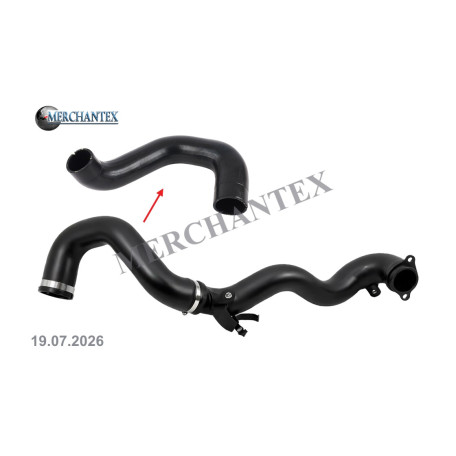 (50506150) ALFA ROMEO TURBO HOSE
EXCLUDING PLASTIC PIPE (50506150) ALFA ROMEO TURBO HOSE
EXCLUDING PLASTIC PIPE